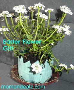 Kids Frugal Fun: Easter Flower Gifts