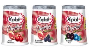 Yoplait Yogurt Only 6 Cents At Food Lion!